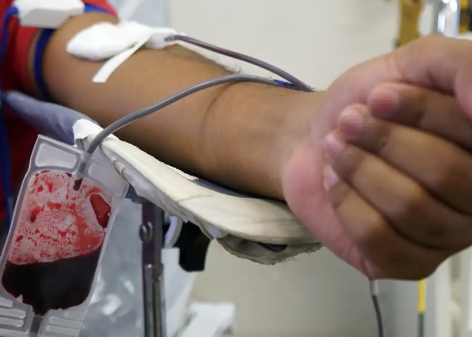 Jaraguá do Sul comemora Semana de Incentivo à Doação de Sangue; saiba como doar