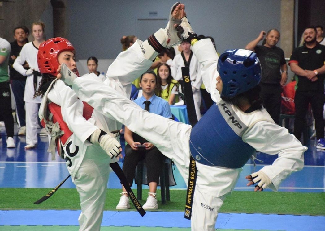 Vereadores reconhecem Utilidade Pública da Associação Jaraguaense de Taekwondo
